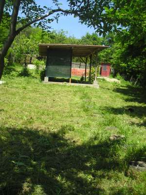 Urgent !! Proprietar ,   vand teren intravilan zona Tisau