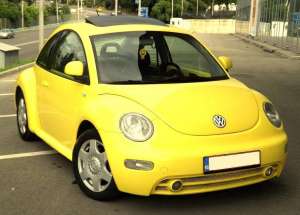 Vand Vw  New Beetle