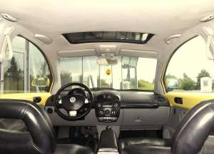 Vand Vw  New Beetle