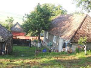 vand casa la tara