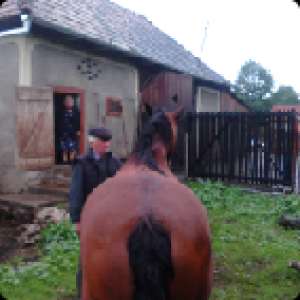 Vand iapa