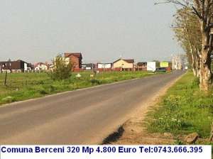 Loturi Comuna Berceni 320 mp