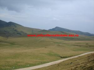 Teren Sinaia - Valea Dorului