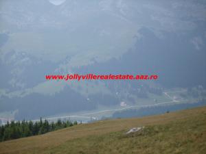 Teren Sinaia - Valea Dorului