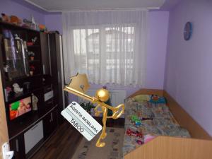 Apartament 2 camere de vanzare zona Turnisor