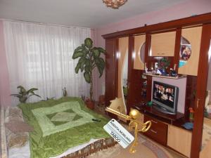 Apartament 2 camere de vanzare zona Turnisor