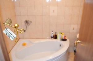 Apartament 3 camere cu 2 bai mobilat si utilat zona Alba Iulia
