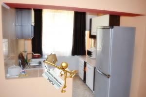 Apartament la vila 3 cam mobilat si utilat curte interioara
