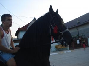 IAPA FRISIAN