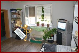 Casa ,   5 camere ,   zona centrala ,   pe 2 nivele