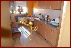 Casa ,   5 camere ,   zona centrala ,   pe 2 nivele