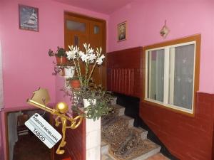 Casa 6 camere zona Gusterita