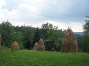 Vand teren munte Bughea de jos Muscel