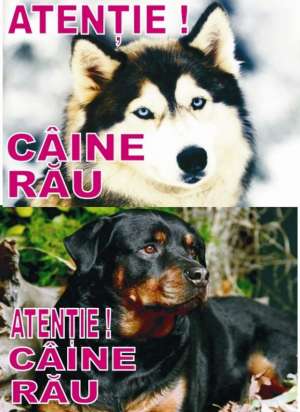 Placi ATENTIE CAINE RAU personalizate fullcolor