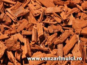 Scoarta De Copac - Lemn Decorativ - Mulch - Mulci Din Lemn TEL: 0736390005