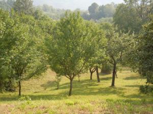 teren,   Talea - Prahova