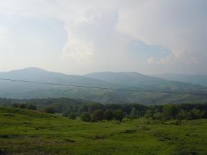 teren,   Talea - Prahova