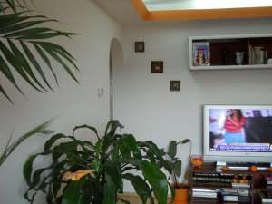 ap cu 3 cam in campina