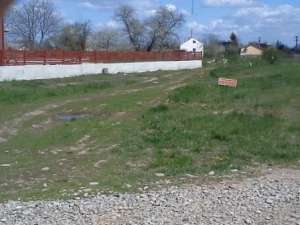 Vand teren Snagov,  Gruiu
