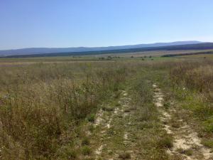 TEREN EXTRAVILAN VIILE SATU MARE