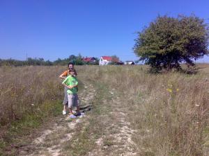 TEREN EXTRAVILAN VIILE SATU MARE