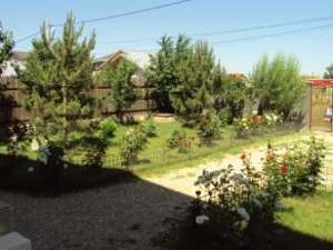 Vila 230mp Branesti Benzinarie DN3