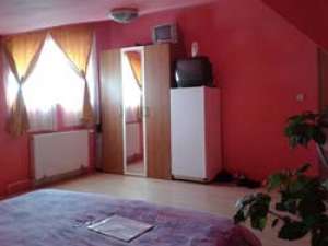 Inchiriez camere in vila super conditi 100E/camera BUCURESTI