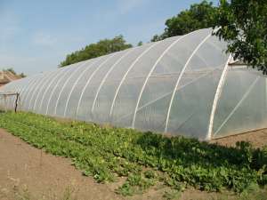 solarii pt legume si flori ieftine  import ungaria