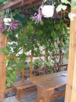 Cazare Vila Casa Andreea Mangalia