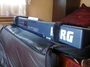 vand orga korg pa 800