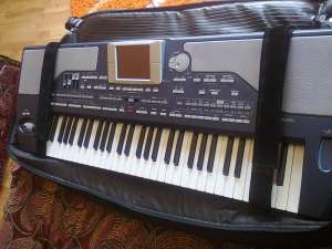 vand orga korg pa 800