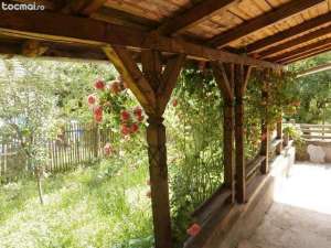 2case +teren in drajna - ph