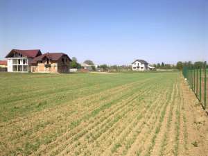 Teren Intravilan 2000mp Oras Roman Comuna Horia