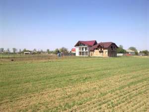 Teren Intravilan 2000mp Oras Roman Comuna Horia