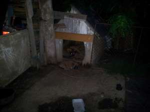 donez catei metis