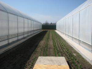 Folie solar UV