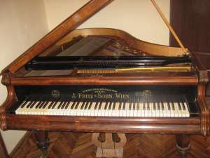 Vand pian vienez coada scurta,    functionare excelenta