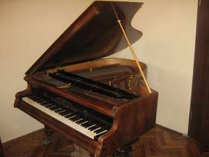 Vand pian vienez coada scurta,    functionare excelenta