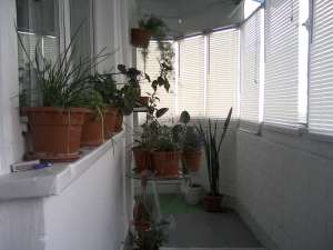 vand apartament 3 camereultracentral  Buzau