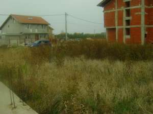 Teren de casa in Cihei de vanzare