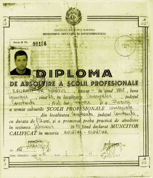 CAUT JOB BUCATAR PE LITORAL