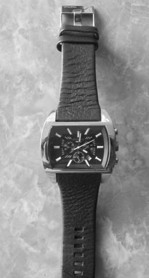 CEAS DIESEL barbatesc