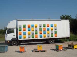 Vand stupina Mercedes 814