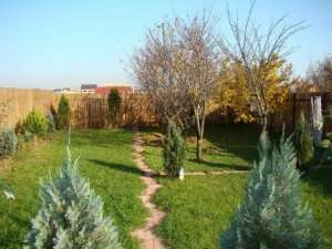 Particular vand casa 5 camere in Domnesti Ilfov