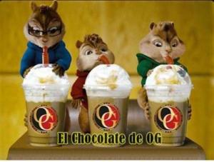 ciocolata calda cu ganoderma recomandata pentru copii 0765437394 cafea cu lapte 0721339995