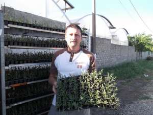 Marin Constantin Producator arbori si arbusti