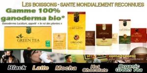 cafea cu lapte si ganoderma 0721339995 organo gold og cafea bio organica 0747176811