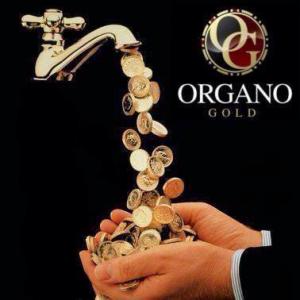 cafea cu lapte si ganoderma 0721339995 organo gold og cafea bio organica 0747176811