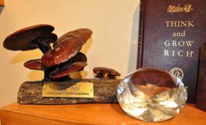 cafea cu lapte si ganoderma 0721339995 organo gold og cafea bio organica 0747176811
