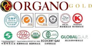 Cafea Moca cu ganoderma 0723506937 mocacino bio organica cafea ciocolata calda vanzare in ROMANIA